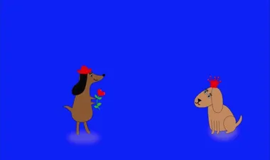 Mavi ekranda animasyon. İki köpek karşılaşır. Bir köpek bir çiçek verir. Diğer köpek aşık ve çok mutlu..