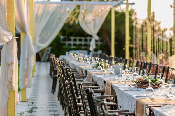 Düğün alanındaki yeşil çimlerin üzerinde duruyor.