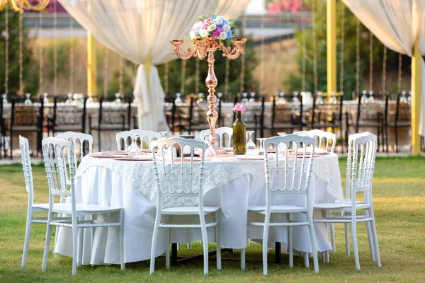 stands on the green lawn in the wedding area