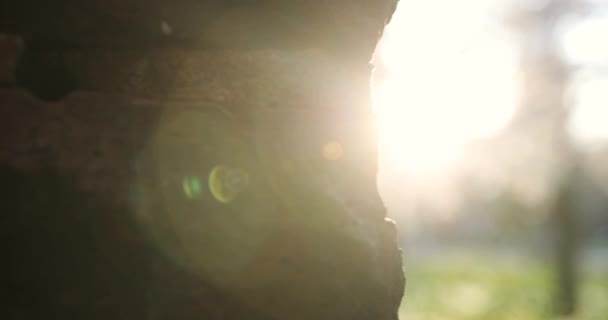 Primavera en la gran ciudad. Edificio enorme y puesta de sol . — Vídeo de stock