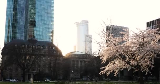 De lente in de grote stad. Enorme gebouw en zonsondergang, groen en bloei — Stockvideo