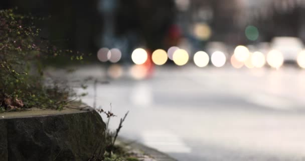 Luce della sera Francoforte traffico strada persone piedi verde città — Video Stock