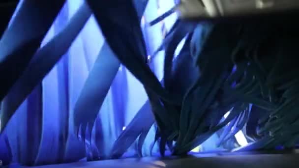 在洗车的挡风玻璃前移动着长长的蓝色缎带 — 图库视频影像