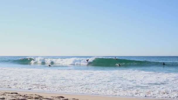 Surfistas nadam na crista de uma onda no mar azul na praia — Vídeo de Stock