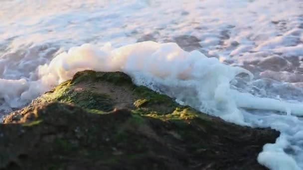 Пенные волны бьются о большую скалу в океане — стоковое видео