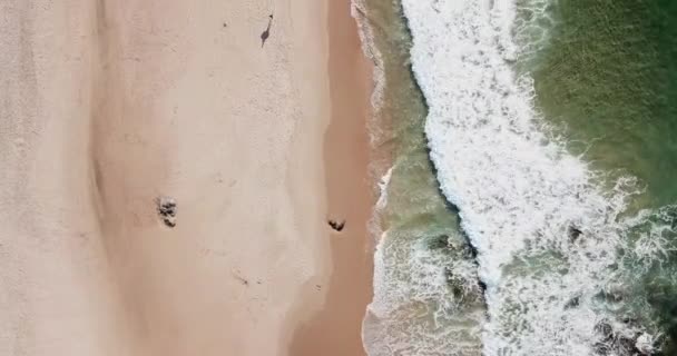 Grandi onde schiumose sulla costa sabbiosa dell'oceano vuoto da una vista a volo d'uccello — Video Stock