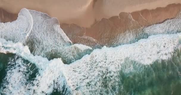 Foamy wave rolls on the sandy shore of the ocean from a birds-eye view — Stock Video