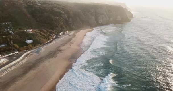 Písečná pláž a les na oceánu z ptačí perspektivy — Stock video