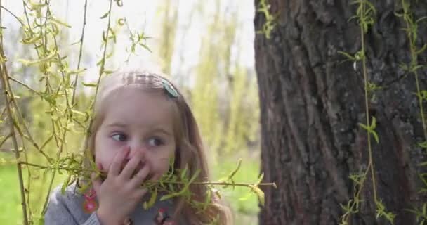 Pequeña chica rubia hermosa huele follaje joven en ramas de árboles largos — Vídeo de stock