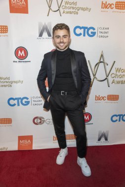 Beverly Hills, California - 11 Kasım 2019: Michael Dameski Şaban Tiyatrosu 'nda 9. Yıllık Dünya Koreografi Ödülleri' ne (Wca) katıldı..