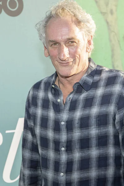 Matt Craven Asiste Estreno Hbo Sharp Objects Los Angeles Cinerama — Foto de Stock