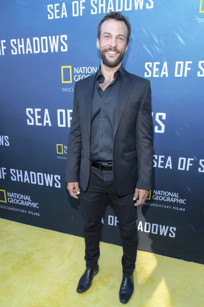 Kyle Schmid Woont National Geographic Sea Shadows Premiere Bij Neuhouse — Stockfoto