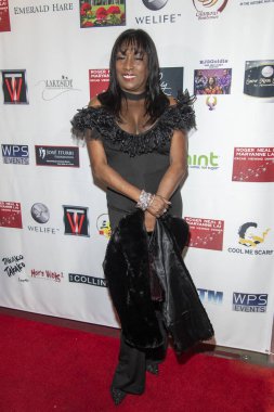 Kiki Shepard, 9 Şubat 2020 'de Hollywood Müzesi' nde düzenlenen 5. Geleneksel Roger Neal & Maryanne Lai Oscar İzleme Yemeği İkon Ödülleri 'ne katıldı.