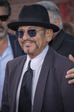 Joe Pesci 24 Ekim 2019 'da TCL Çin Tiyatrosu' nda Netflix 'in Los Angeles Premiere' ine katılır.