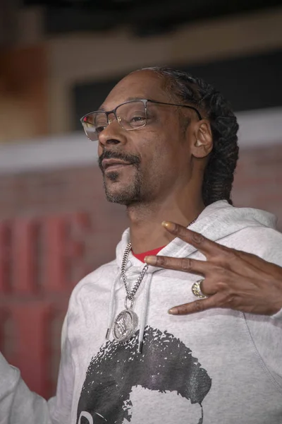 Snoop Dogg Asiste Estreno Netflix Irishman Los Angeles Tcl Chinese —  Fotos de Stock