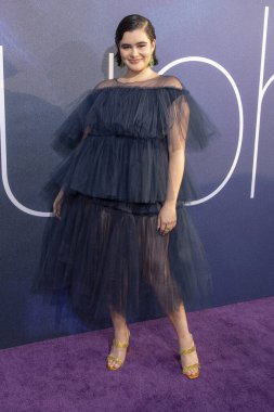 Barbie Ferreira 4 Haziran 2019 'da Cinerama Dome, Los Angeles' ta HBO 'nun Los Angeles Premiere serisine katıldı.
