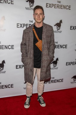 Joe Friedman 11 Aralık 2019 'da TCL Theater, Hollywood, CA' da 