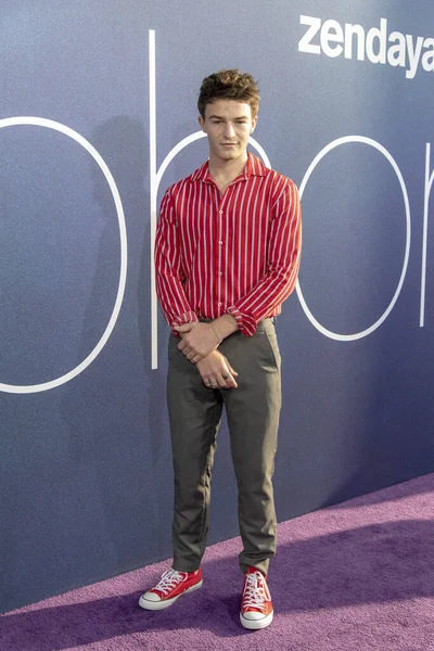 Dylan Summerall Bierze Udział Serii Hbo Euphoria Los Angeles Premiera — Zdjęcie stockowe