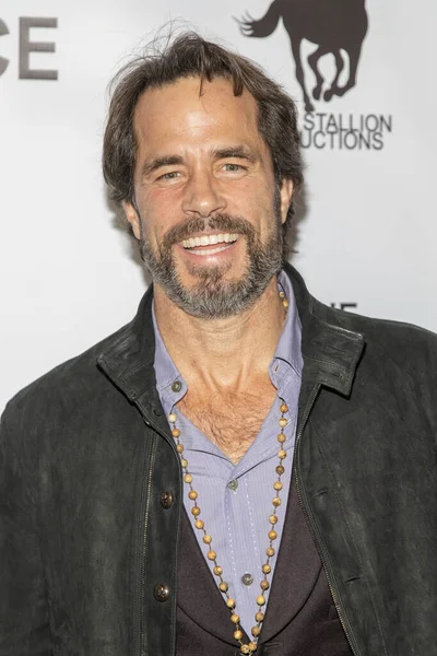 Shawn Christian Aralık 2019 Tcl Theater Hollywood Experience Los Angeles — Stok fotoğraf