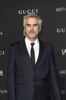 Alejandro Gonzalez Inarritu, Los Angeles, Kaliforniya 'da 3 Kasım 2018 tarihinde LACMA Sanat + Film Galasına katılır.