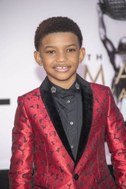 Lonnie Chavis 15 Ocak 2018 'de Pasadena Konferans Binası' nda 49. NAACP Resim Ödüllerine katıldı.