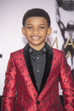 Lonnie Chavis 15 Ocak 2018 'de Pasadena Konferans Binası' nda 49. NAACP Resim Ödüllerine katıldı.