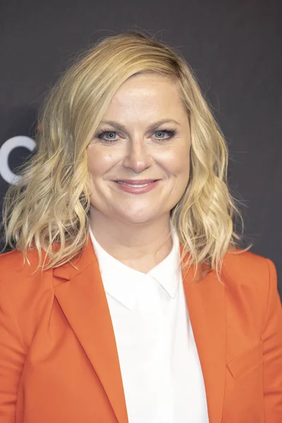 Amy Poehler Відвідує Paley Center Media 2019 Paleyfest Nbcs Parks — стокове фото