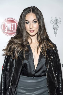 Lyndon Smith kitap tanıtımına katılıyor. 2, 2 Aralık 2017 'de Los Angeles, Kaliforniya' daki Sinemacılar Grubu Galerisi 'nde.