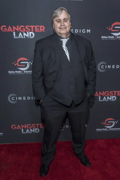ルイス ファサナロは2017年11月29日にカリフォルニア州ハリウッドのエジプト シアターで開催されたギャングスター ランド プレミアに出席した — ストック写真