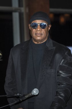 Stevie Wonder, 17 Kasım 2018 'de Bel-Air Country Club, Los Angeles' taki Zümrüt Şehir Galası Vizyon Ödülleri Yemeği 'ne katılıyor..