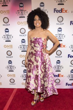 Janine Sherman Barrois, 14 Ocak 2018 'de Pasadena Konferans Binası' nda 49. NAACP Görüntü Ödülleri 'ne katılmıştır.