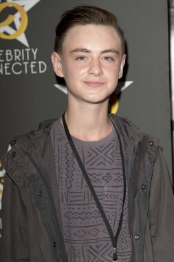 Jaeden Lieberher, 6 Mayıs 2017 'de W Hotel Hollywood, Los Angeles CA' da MTV Film ve TV Ödülleri onuruna verilen Ünlüler Bağlı Lüks Hediye Süitine katıldı.. 