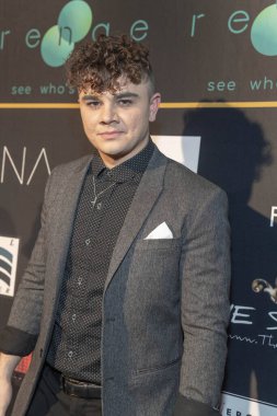 Aktör Brandon Stewart 9 Şubat 2019 'da Batı Hollywood' daki Roxy Tiyatrosu 'nda düzenlenen 5. Yıllık Al Walser 