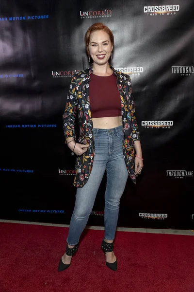 Briana Caitlin Besucht Februar 2019 Die Premiere Von Uncork Entertainments — Stockfoto