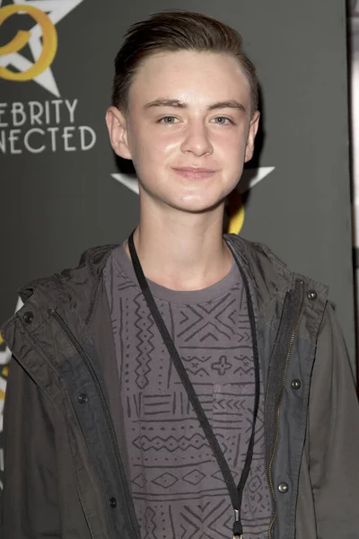 2017 Jaeden Lieberher Adopts Celebrity Connected Luxury Gifting Suite Honoring — 스톡 사진
