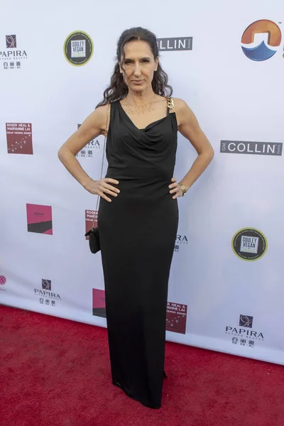 Francesca Fanti Şubat 2019 Los Angeles Kaliforniya Daki Hollywood Palladium — Stok fotoğraf