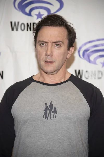 Peter Serafinowicz Participa 2019 Wondercon Sony Pictures Television Tick Season — Fotografia de Stock