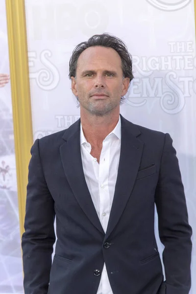 Walton Goggins Attends Hbo Righteous Gemstones Los Angeles Premiere Paramount — Stock Photo, Image