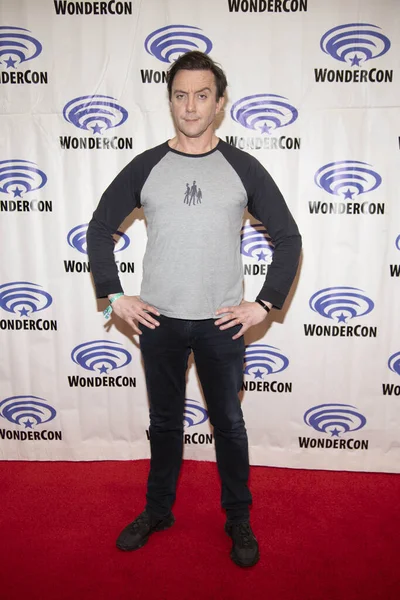 Peter Serafinowicz Attends 2019 Wondercon Sony Pictures Television Tick Season — Stock Photo, Image