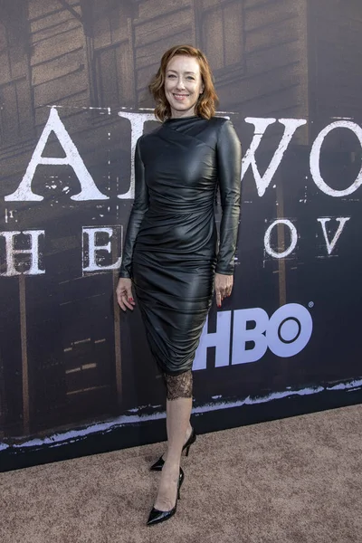 Molly Parker Woont Hbo Deadwood Los Angeles Premiere Bij Cinerama — Stockfoto