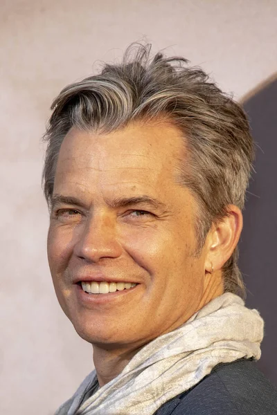 Timothy Olyphant Deltar Hbo Deadwood Los Angeles Premiär Cinerama Dome — Stockfoto