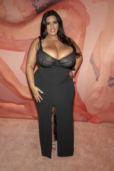 Rose sofia Stock Photos, Royalty Free Rose sofia Images Depositphotos