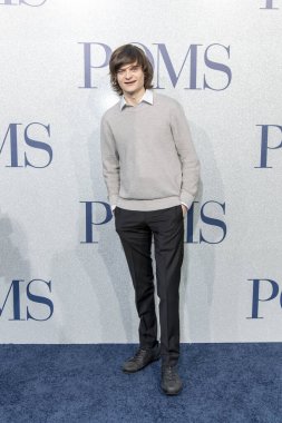 Charlie Tahan 1 Mayıs 2019 'da Regal LA LiVE, Los Angeles, CA' da POMS 'un dünya prömiyerine katılır.