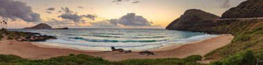 Makapu'u Beach Park Landscape clipart