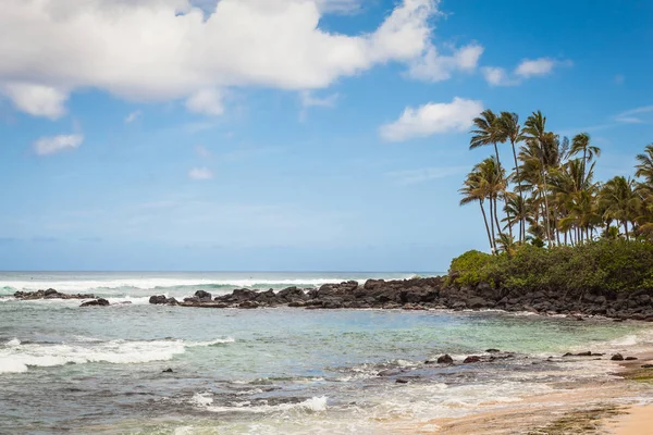 Turtle kıyı deniz manzarası