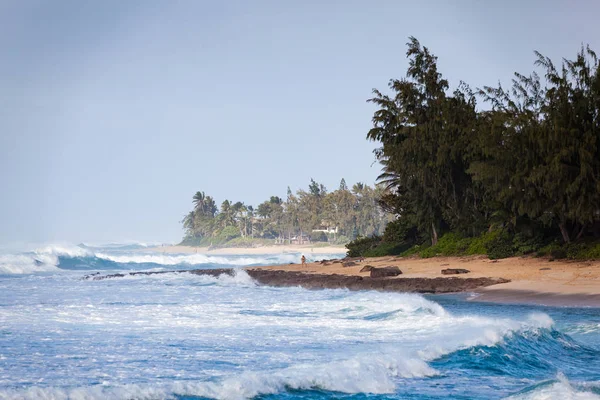 Kıyı tropikal plaj manzara Hawaii
