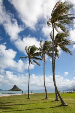 Kualoa Park doğal peyzaj