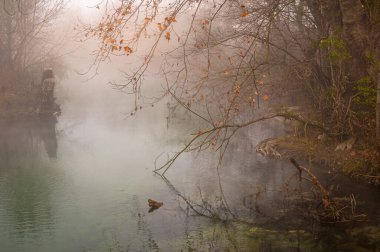 Nehirde sisli bir sabah Sorgue kıyıdaki ağaçları gösteriyor. Sonbaharda, sonbaharda, Fransa 'da.