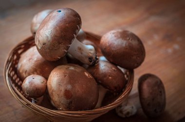 Kahverengi Paris ya da sepetteki portobello mantarları tahta bir masada bıçakla.
