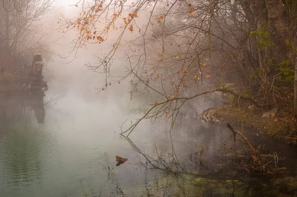 Dimineața Cețoasă Râul Sorgue Arată Copaci Mal Toamna Toamna Provence — Fotografie, imagine de stoc